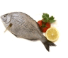 poissons