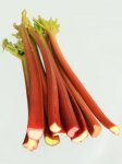 Rhubarbe