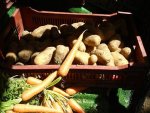 Marché bio des Batignolles - Légumes