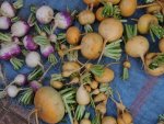Navets sur un étal au Maroc