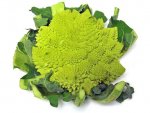 Chou romanesco