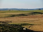 Aubrac