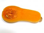 Coupe transversale de la courge butternut