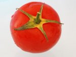 Tomate