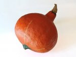 Potimarron