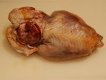 Poule faisane