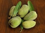 Amandes fraîches